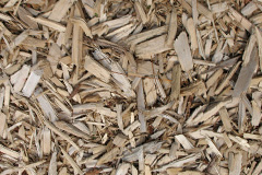 biomass boilers Eydon